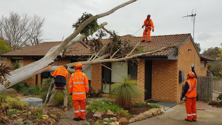 SES volunteers help to remove a fallen tree from a Canberra property, as strong winds and heavy rain batter Canberra. Picture: ACT Emergency Services Agency