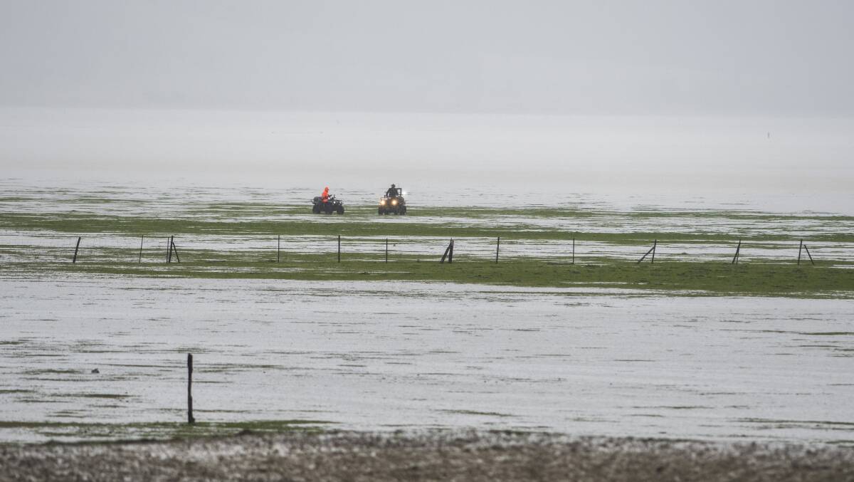 Farmers round up sheep onto dry land as Lake George fills with water due to heavy rainfall. Picture: Dion Georgopoulos