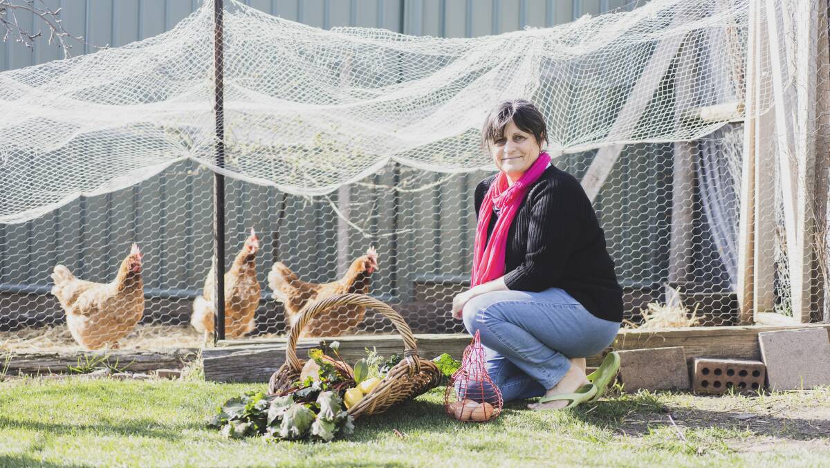 Joanne Hall with freshly picked vegetables and the chooks. Picture: Dion Georgopoulos