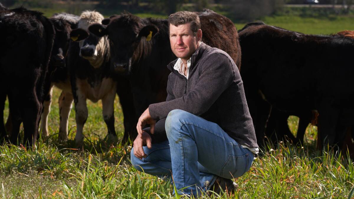 Cattle farmer James Galbraith of Medway Farm in Berrima, recovering after the drought. Picture: Matt Loxton
