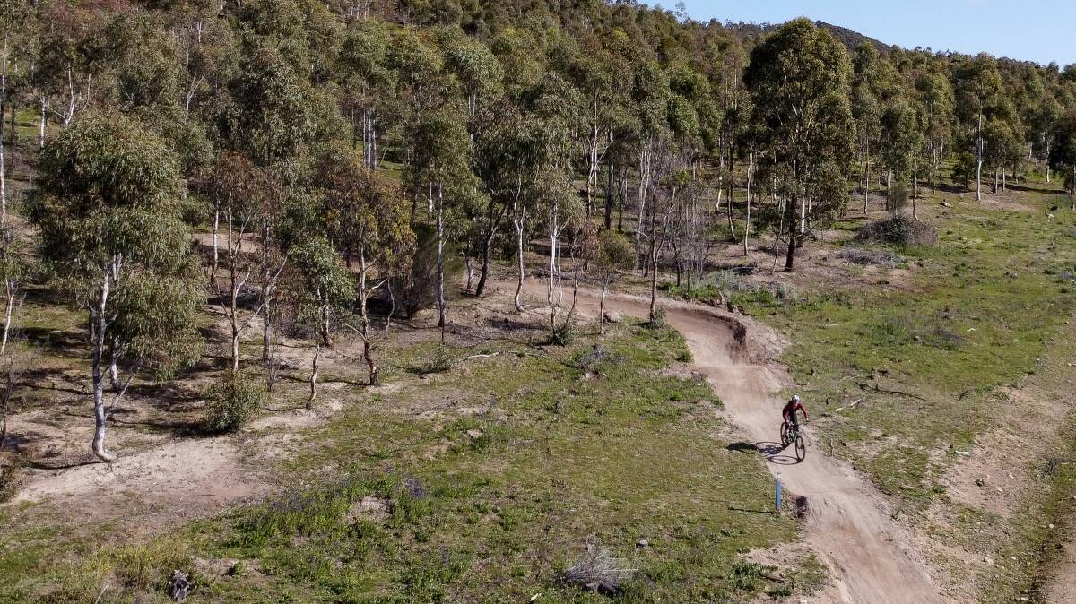 A mountain biker finishes a recently built trail at Stromlo Forest Park. Picture: Sitthixay Ditthavong 