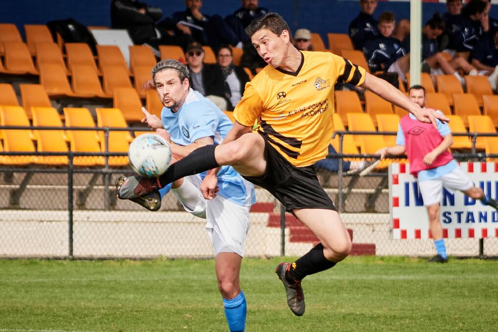 Tigers' Mark Shields tries to get a foot on the ball. Picture: Matt Loxton