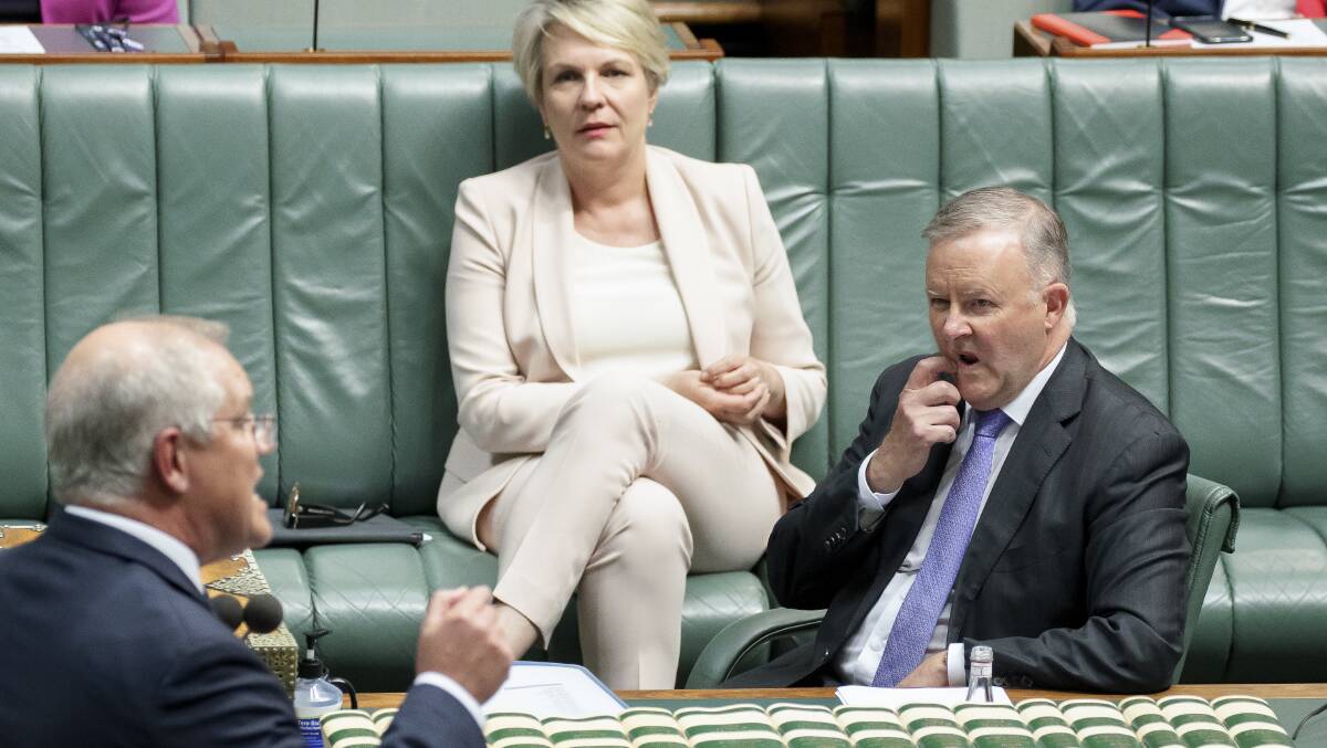 Prime Minister Scott Morrison, left, and former Labor deputy Tanya Plibersek and Opposition Leader Anthony Albanese in Parliament. Picture: Sitthixay Ditthavong