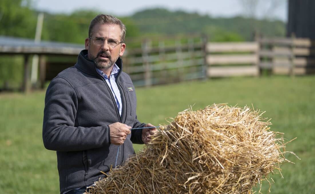 Under Jon Stewart's direction, Steve Carell is charming and hilarious as election campaign manager Gary Zimmer. Picture: Daniel McFadden/Focus Features