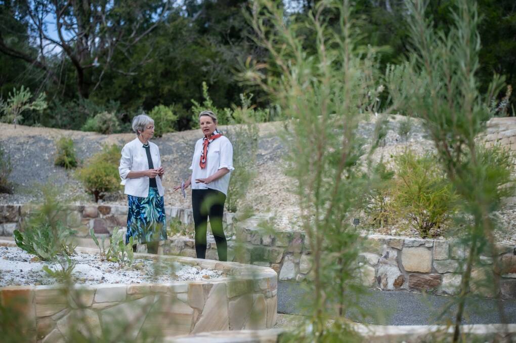 Australian National Botanic Gardens executive director Dr Judy West and Environment Minister Sussan Ley in new banksia garden. Picture: Karleen Minney