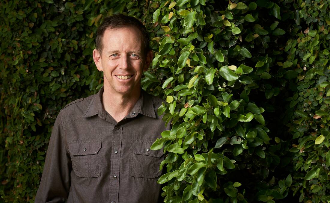 Leader of the ACT Greens, Shane Rattenbury. Picture: Matt Loxton