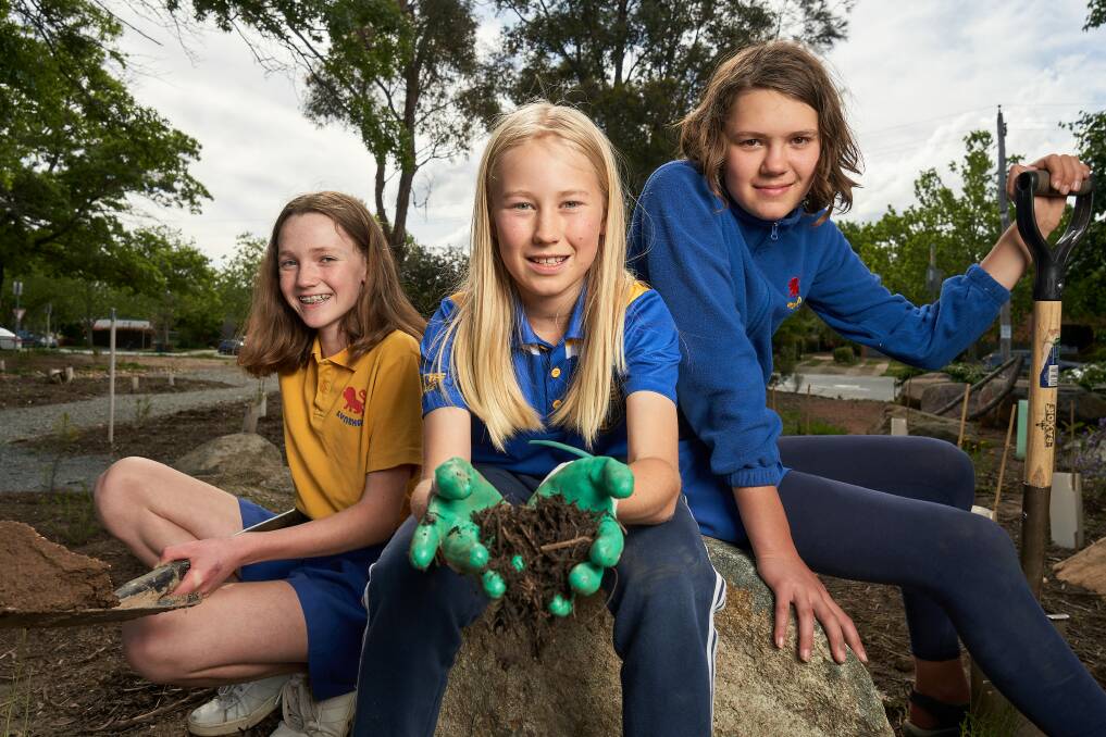 Tiri Milne Moten, left, Oscar Kendon, and Beatrice Dash who led a forest classroom project at Lyneham Primary School. Picture: Matt Loxton
