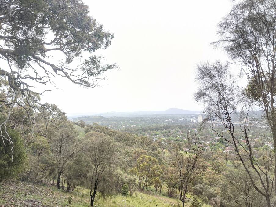 Canberrans have been urged to not take the city's Bush Capital status for granted. Picture: Megan Doherty
