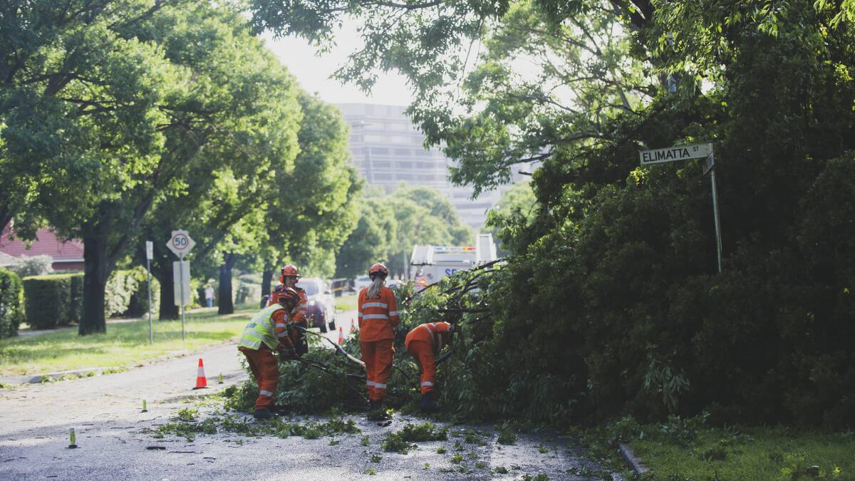SES volunteers clear up after an intense storm tore through Canberra on Tuesday. Picture: Dion Georgopoulos