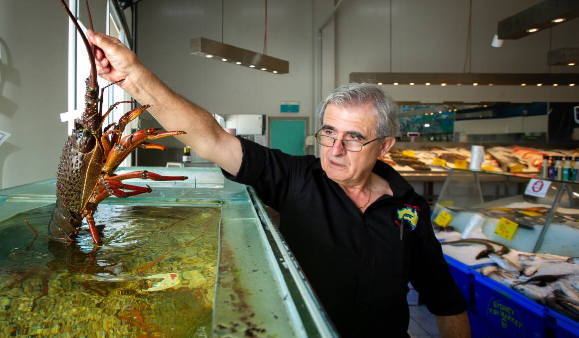 FishCo Fish Market owner John Fragopoulos says with exports to China at a standstill, container ships full of frozen lobster are translating into rock bottom prices for Australian seafood lovers. Picture: Elesa Kurtz