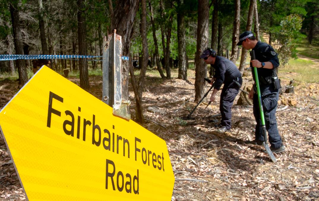 Police search the pine forest near Canberra Airport, looking for forensic evidence that may have been overlooked 49 years ago. Picture: Elesa Kurtz.