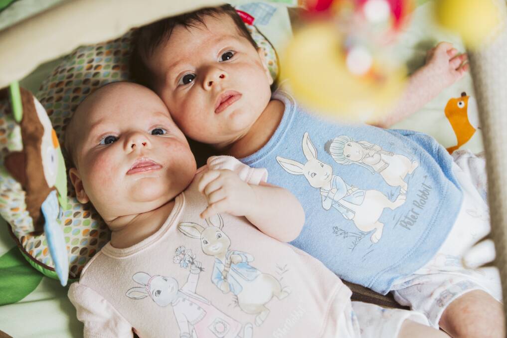 Amber and Andrew Harnisch's 8-week old twins Addie and Arlen. Picture: Jamila Toderas 