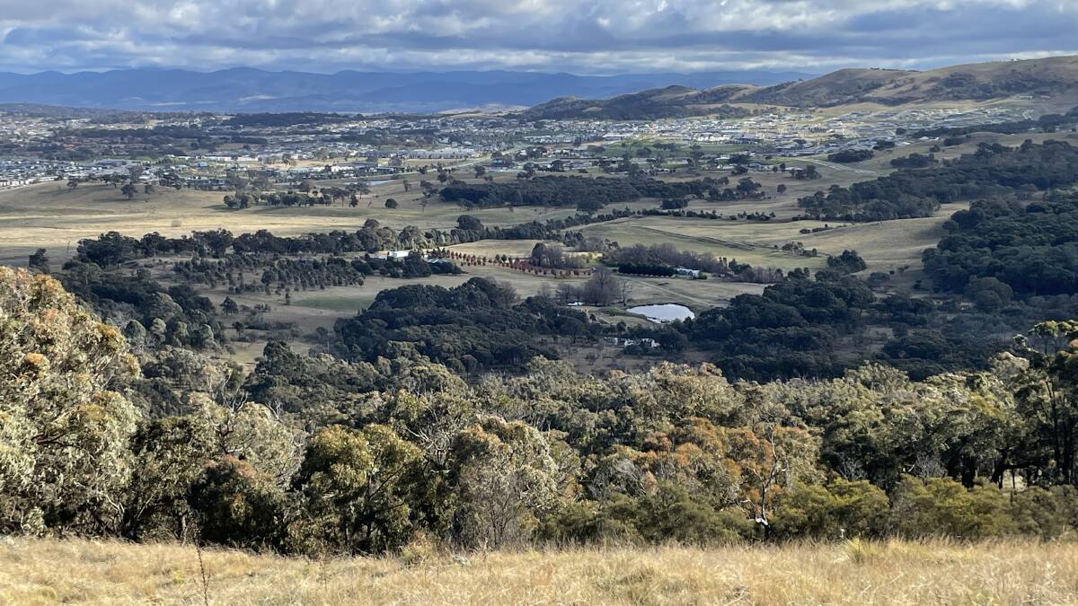 The owners of Elm Grove have backed down from opposition to the Gungahlin suburb's development following lengthy court proceedings. Picture: Alex Crowe