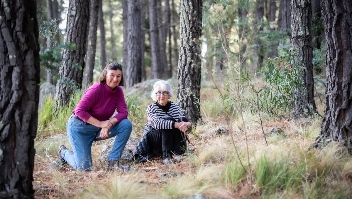 Fungi enthusiasts Barbara Reeve and Fiona Spencer go on weekly walks to identify mushrooms in Canberrra woodlands. Picture by Karleen Minney.