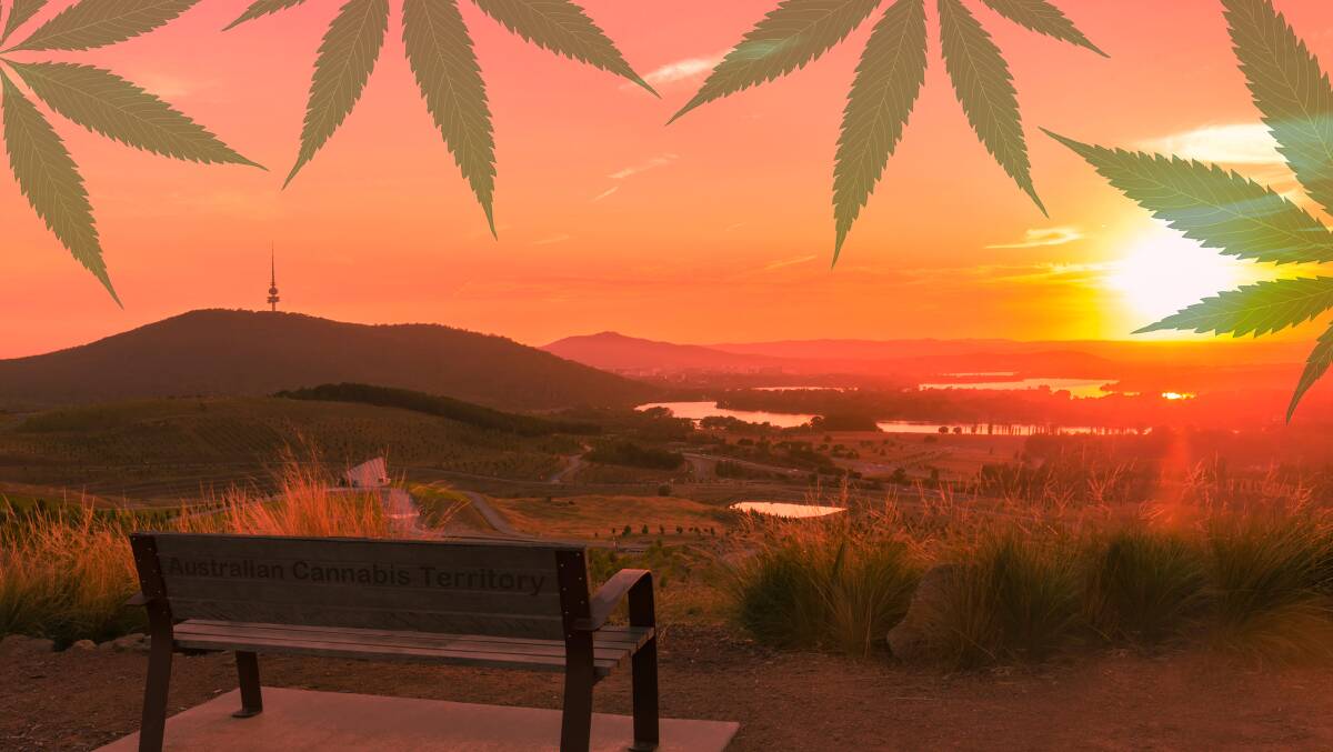 Cannabis was decriminalised in Canberra on July 1, 2019. Image: Shutterstock