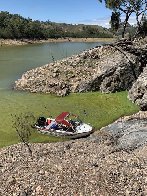 Residents report the worst case of blue-green algae in decades. Picture: Supplied