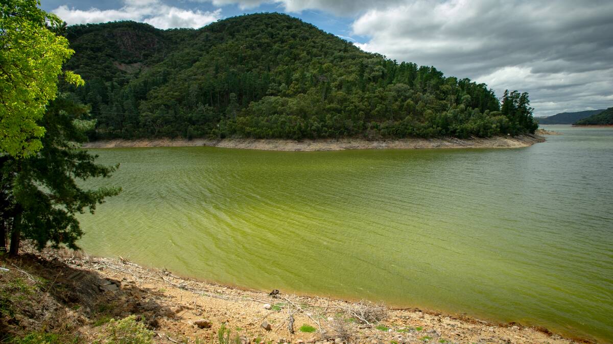 Burrinjuck Dam, which has been inundated with blue-green algae and has been given a red alert by WaterNSW. Picture: Elesa Kurtz