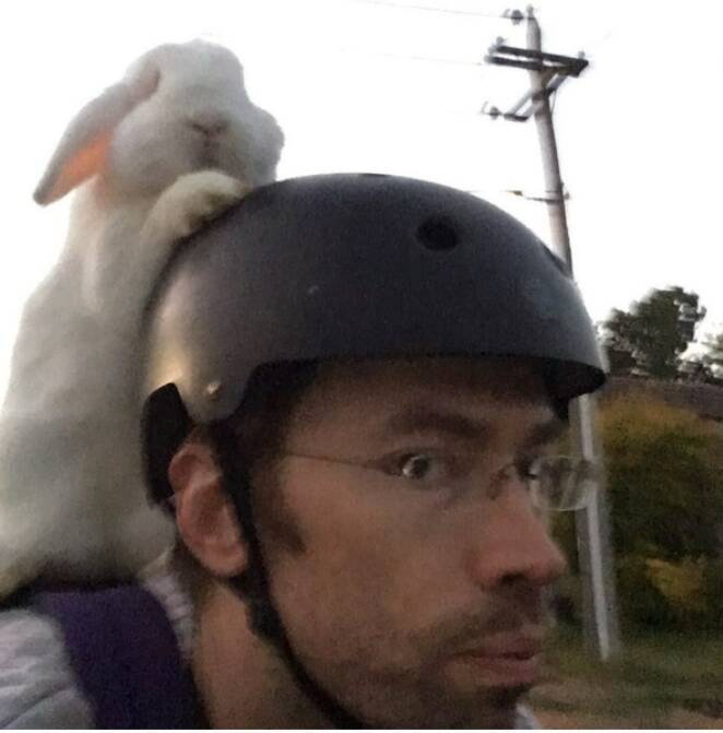 Chris Schlegel has been spotted cycling around town with his pet rabbit. Picture: Supplied