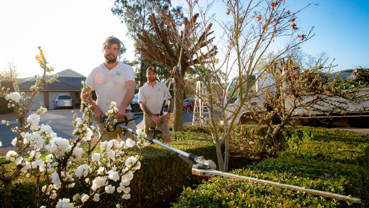 Canberra Hedge and Lawn landscapers Tim Dennett and Nathan Hall are pleased to be getting back to work and in time for spring. Picture: Elesa Kurtz 