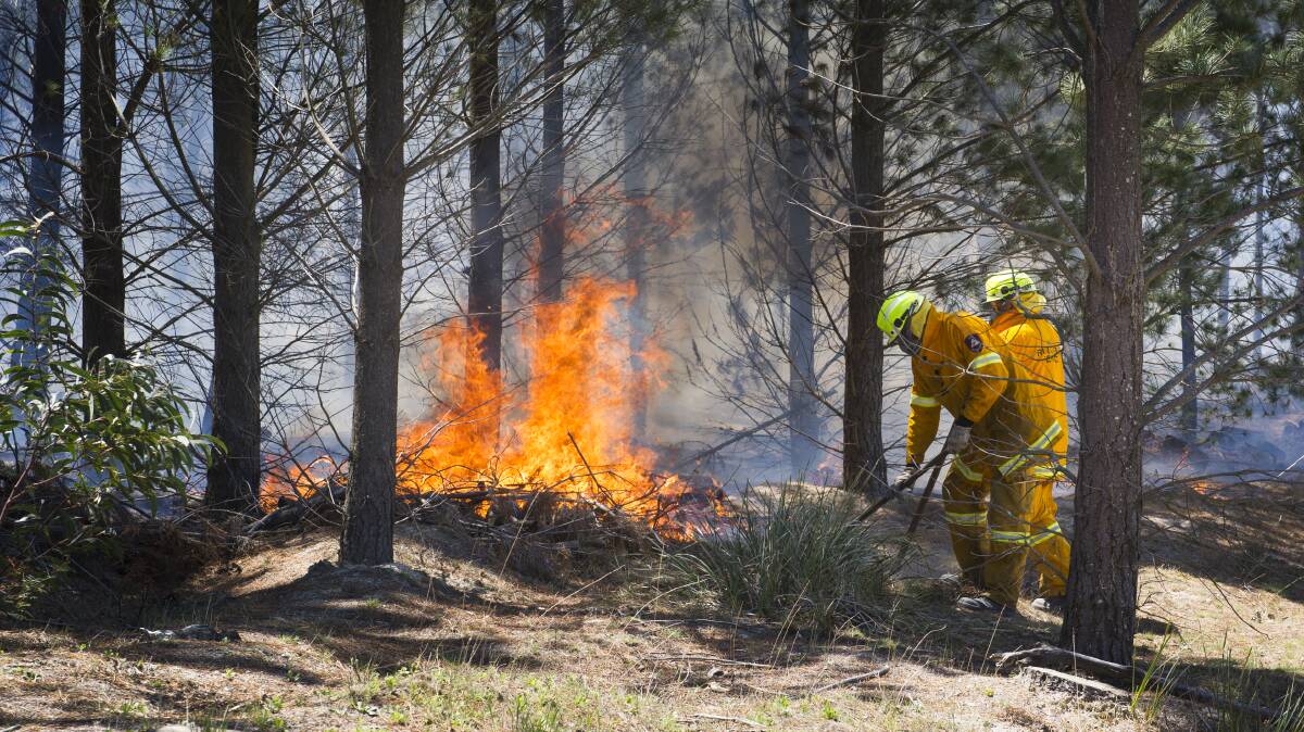 ACT Rural Fire Service battle to contain the Pierces Creek fire in November, 2018, which started after a ute was dumped and set alight. Picture by Elesa Kurtz