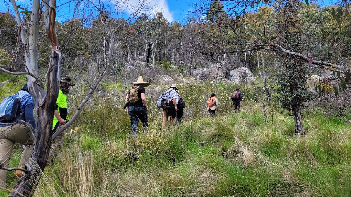 The ANU's Dr Ben Kearney led a walk through burnt and unburnt sections of the Square Rock bog. Picture: Supplied