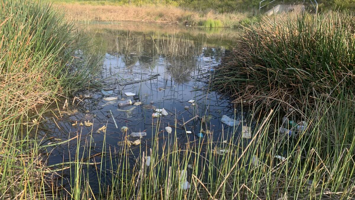 Rubbish builds up in the Wyndham Avenue Pond and has been flowing into the Molonglo. Picture supplied