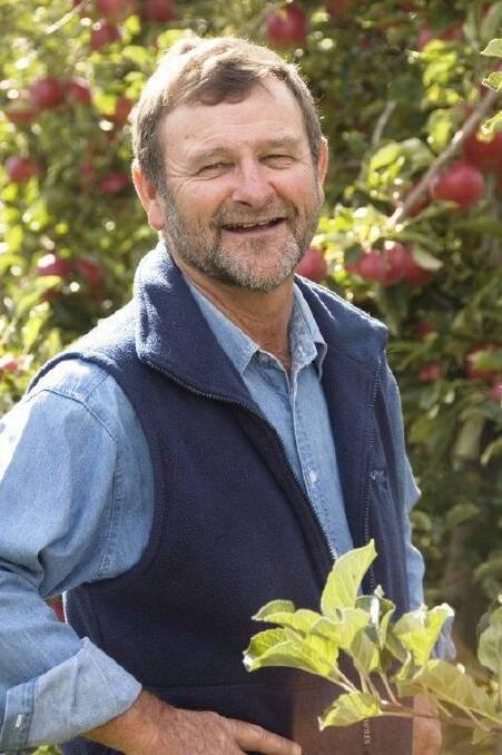 Batlow Fruit Company director and apple grower Greg Mouat.