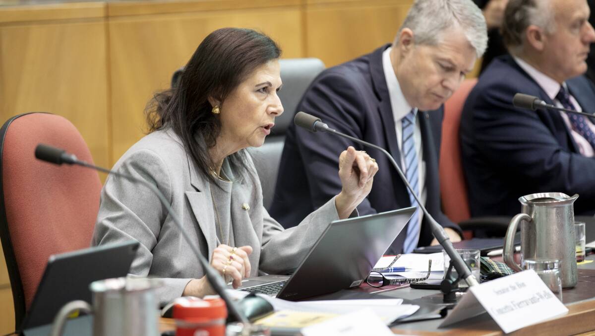 Concetta Fierravanti-Wells has criticised her own government's integrity body for allowing politicians to escape scrutiny. Picture: Sitthixay Ditthavong