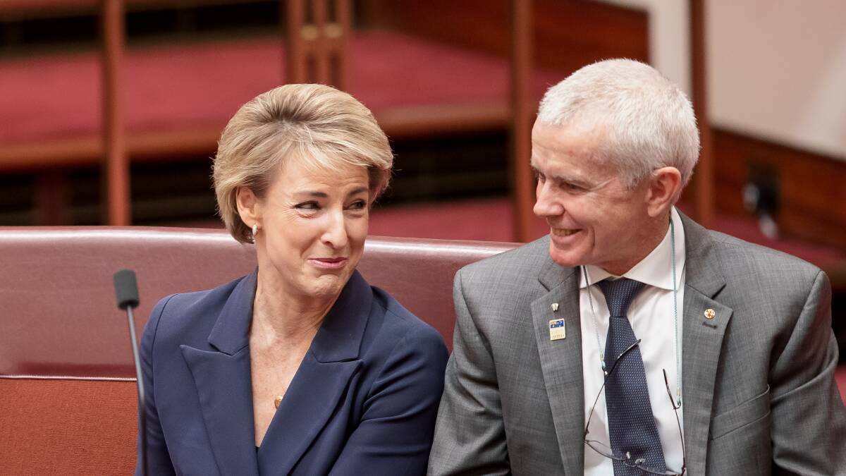 Acting Industrial Relations Minister Michaelia Cash and One Nation Senator Malcolm Roberts found common ground during the IR debate on Thursday. Picture: Sitthixay Ditthavong