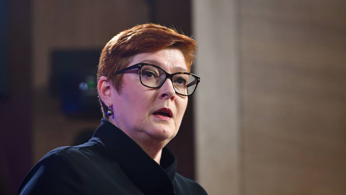 Senator Marise Payne says MPs are 'focused on their jobs', taking issue at 'aspersions' about use of alcohol in Parliament House. Picture by Elesa Kurtz