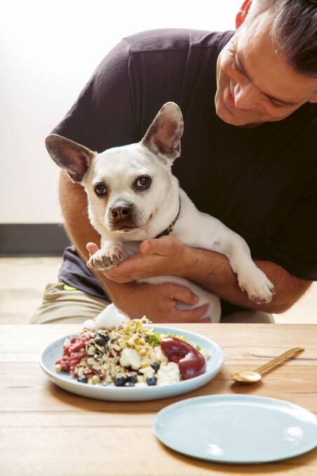 My Dog Eats Better Than Me contains more than 60 recipes. Picture: Melanie Faith Dove
