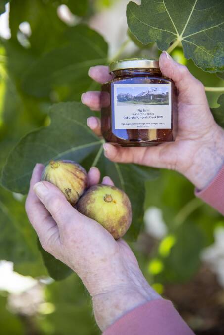Fig tree with homemade fig jam. Picture: Keegan Carroll