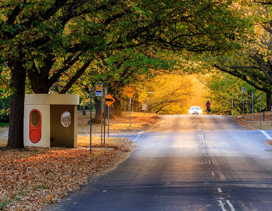 Some discovered new parts of their neighbourhood while taking daily walks during COVID lockdowns. Picture: Shutterstock