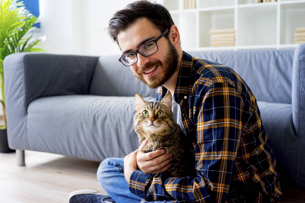 If you're a guy who owns a cat, what kind of effect does it have on suitors if you post a picture posing with your favourite feline? Picture: Shutterstock