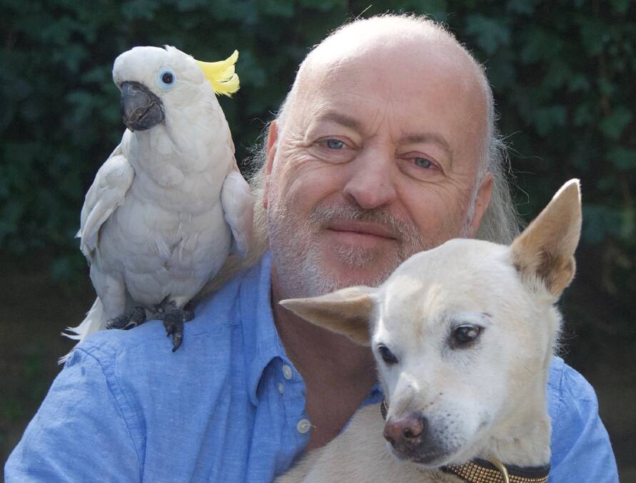 Bill Bailey has postponed his Australian tour for his new show En Route To Normal. Picture: Supplied