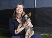 RSPCA ACT chief executive Michelle Robertson with 13-week-old Blue Heeler Molly. Picture by Keegan Carroll
