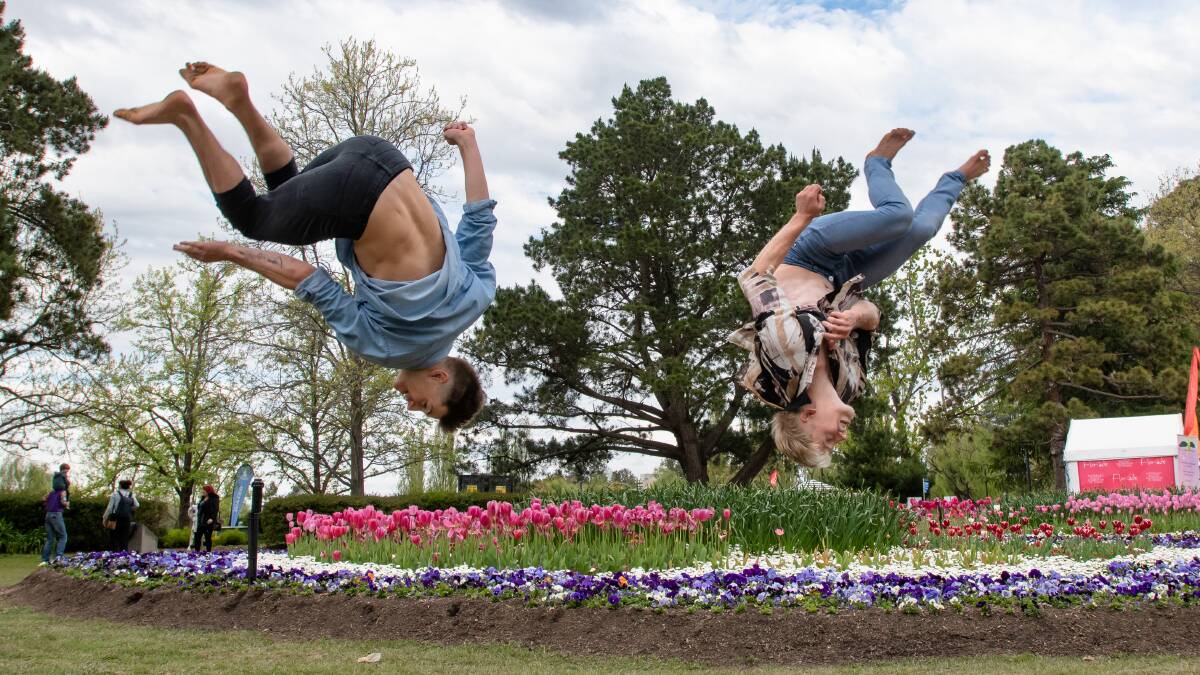 Performers Lachlan Harper and Axel Osborne from Gravity and other Myths at Floriade. Picture by Elesa Kurtz