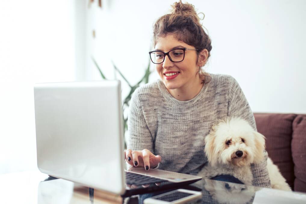 After working from home for so long, have you thought about how your pet will take it when you go back to work? Picture: Shutterstock