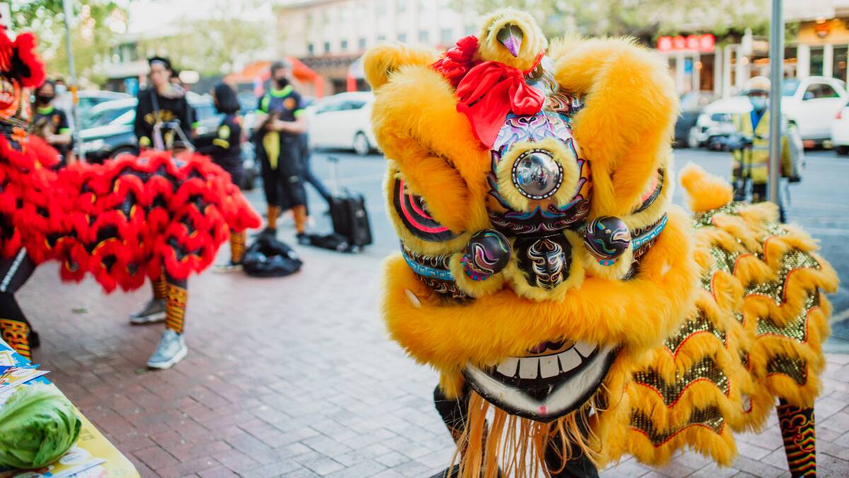 There are workshops for Chinese dragon dance on this year's program. Picture: Supplied