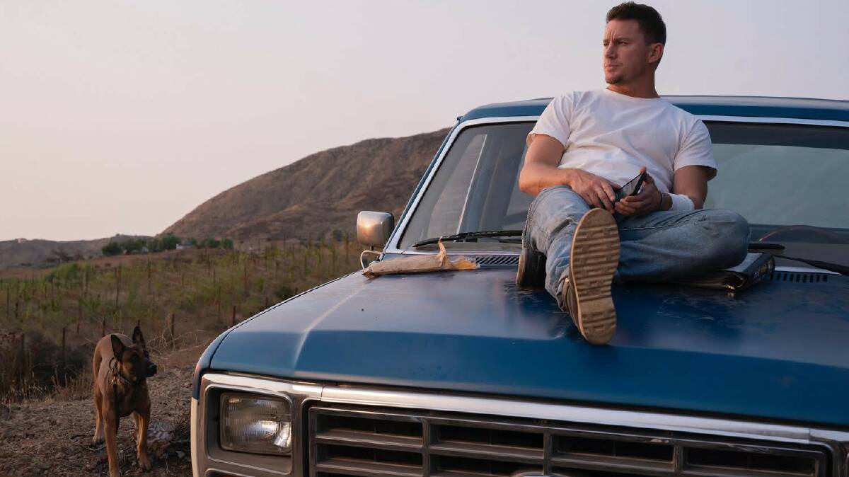 Channing Tatum in Dog. Picture: Roadshow Pictures