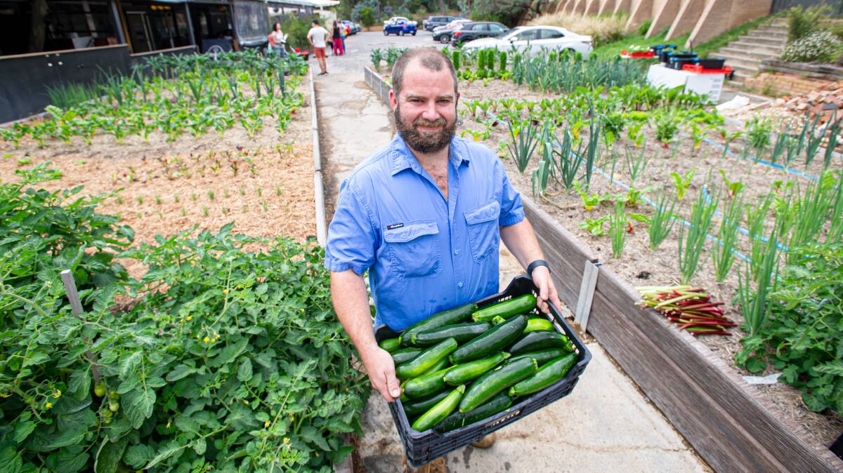 Liam Brown with crate of zucchinis at Two before Ten's urban garden. Picture: Elesa Kurtz