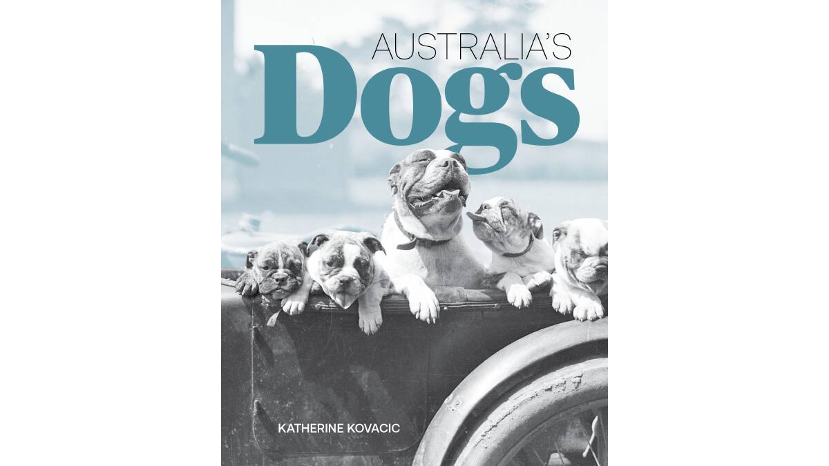 Australia's Dogs, by Katherine Kovacic. NLA Publishing. $39.99.