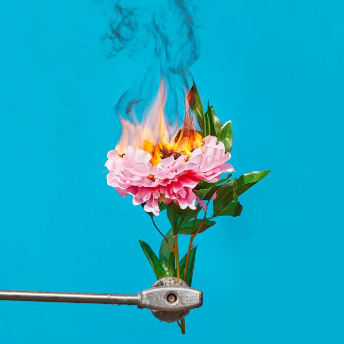 Burning Flower by Nicole Reed is in Here I Am: Art by Great Women. Picture: Supplied