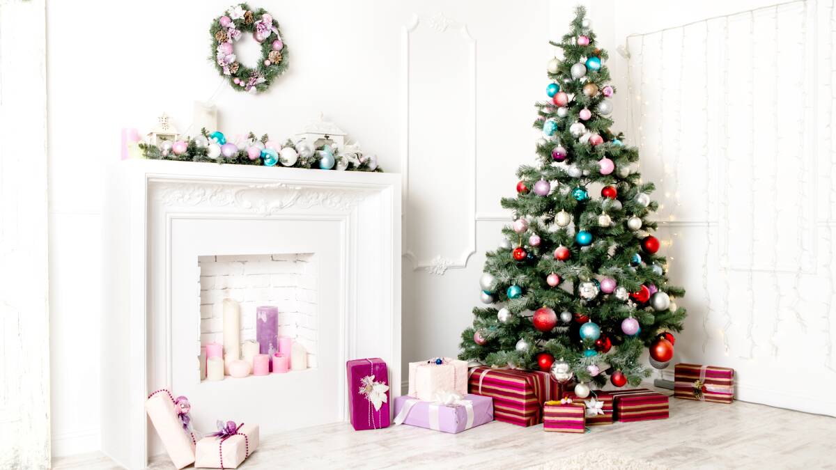 When do you put up the Christmas tree? The earlier the better, says journalist Amy Martin. Picture Shutterstock