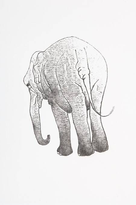 Jan Brown (1922 - ) Elephant, c.1980s turps release print CMAG, gift of the artist 2006. Picture: Supplied