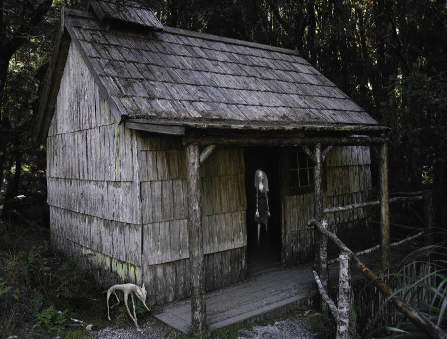 Brenda Runnegar's Bush Hut. Picture supplied