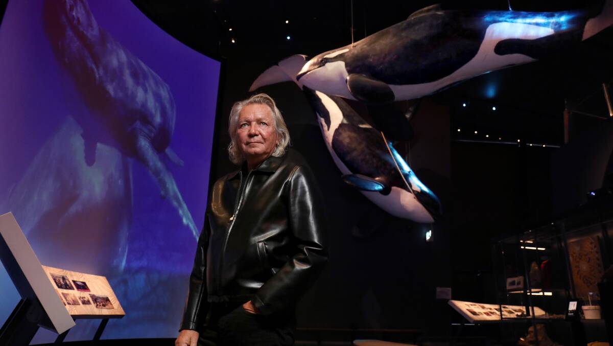 Iva Davies at the Great Southern Land environmental gallery opening at the National Museum. Picture by James Croucher
