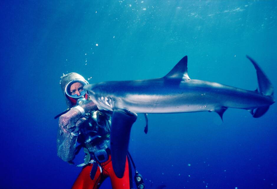 Valerie Taylor in Playing With Sharks. Picture: Wildbear Entertainment/Madman Entertainment