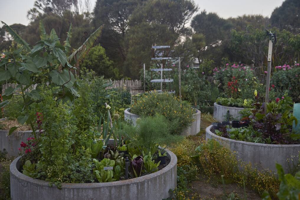 Fiona Brockhoff's own kitchen garden. Picture by Earl Carter