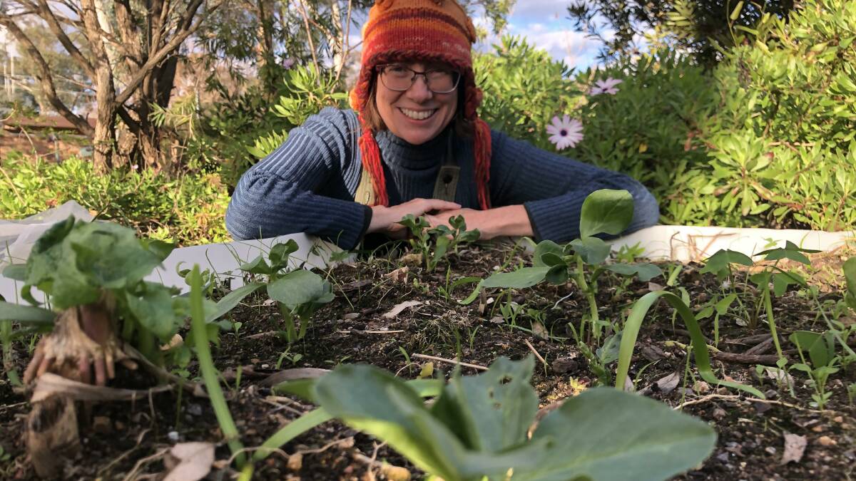 Dr Cally Brennan with baby broad beans in a front garden wicking bed. Picture: Sophie
Brennan
